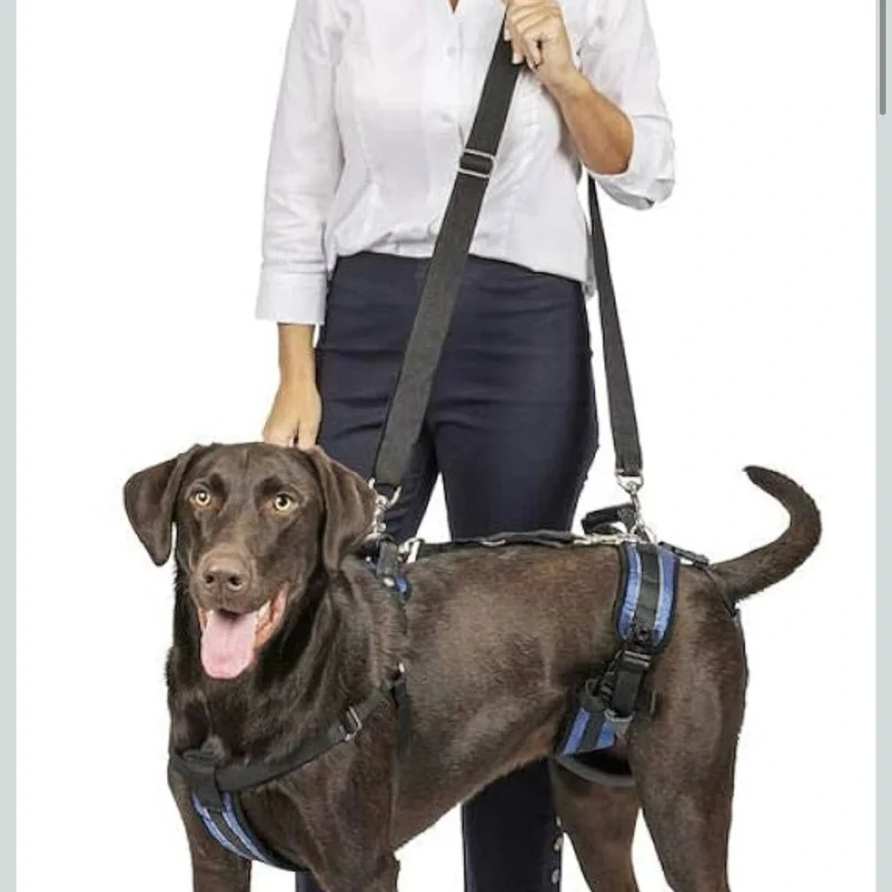 PetSafe CareLift Full Body Lifting Harness‎ Large 70-130lbs Dog Mobility NIB .